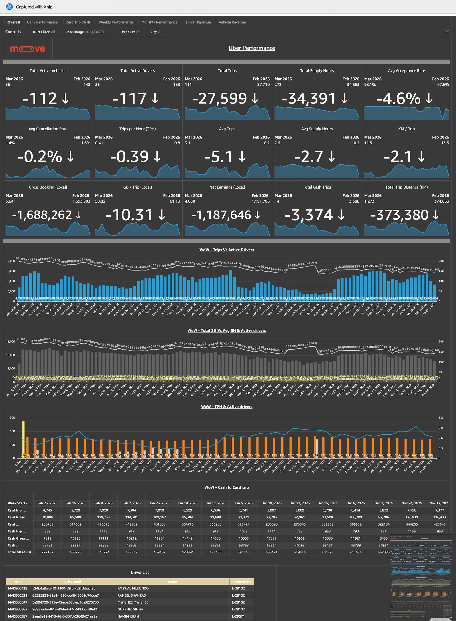 Customer Service Performance Dashboard screenshot 2