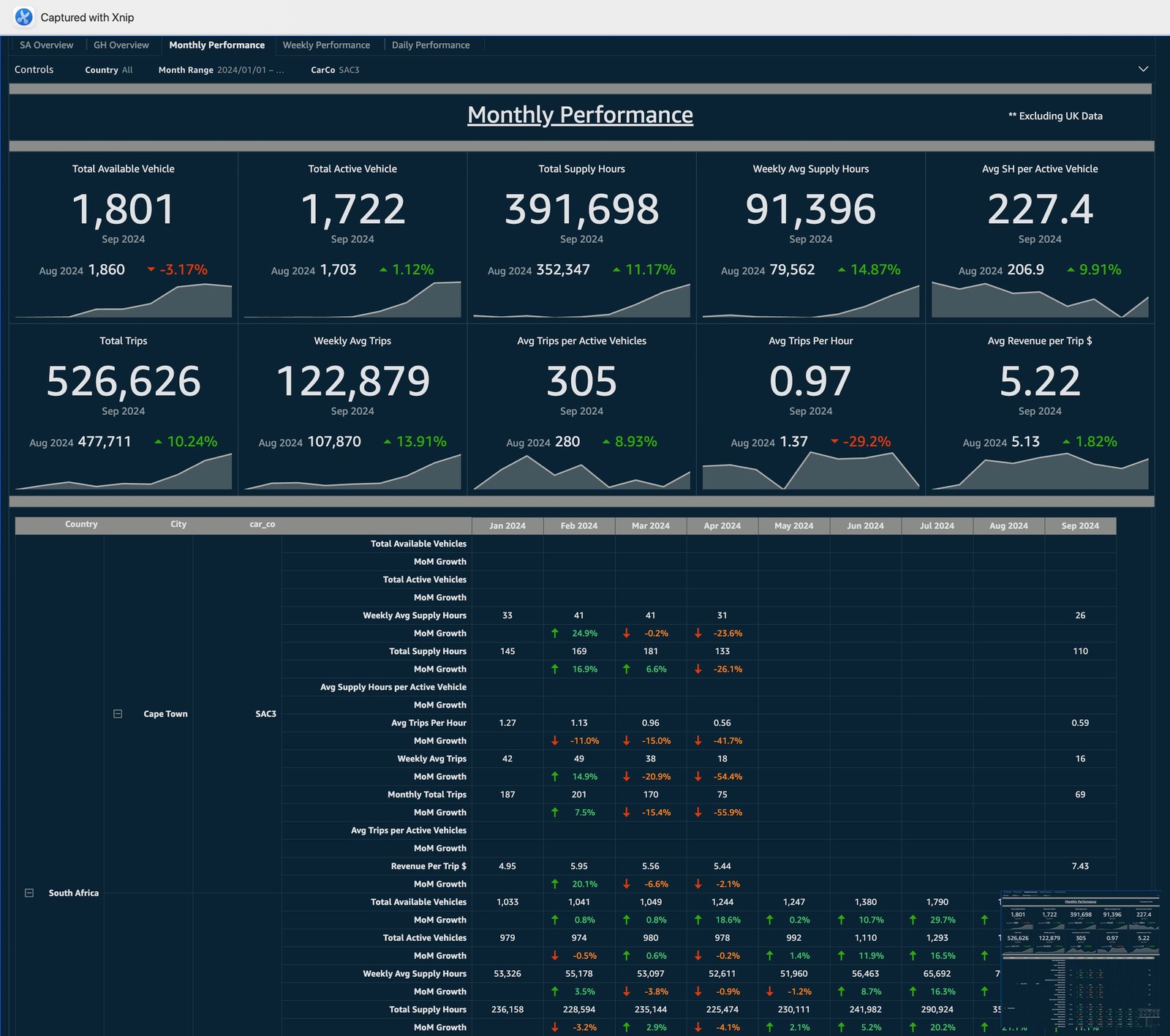 Customer Service Performance Dashboard screenshot 3
